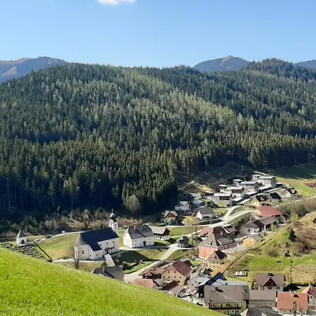 Landhotel-restaurant Willingshofer 3* Gasen