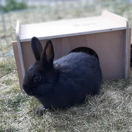 Landhotel-restaurant Willingshofer Отель Gasen