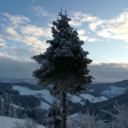 Landhotel-restaurant Willingshofer Hotell 3*