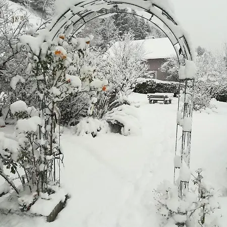 Отель Landhotel-restaurant Willingshofer