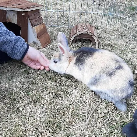 Landhotel-restaurant Willingshofer 3*