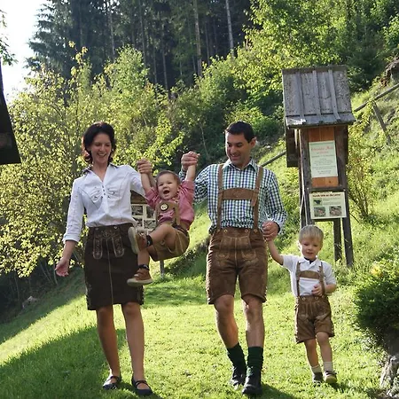 维宁斯霍弗尔酒店及餐厅 酒店