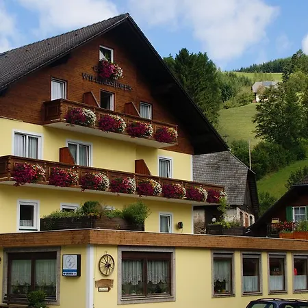 Landhotel-restaurant Willingshofer 3* Gasen