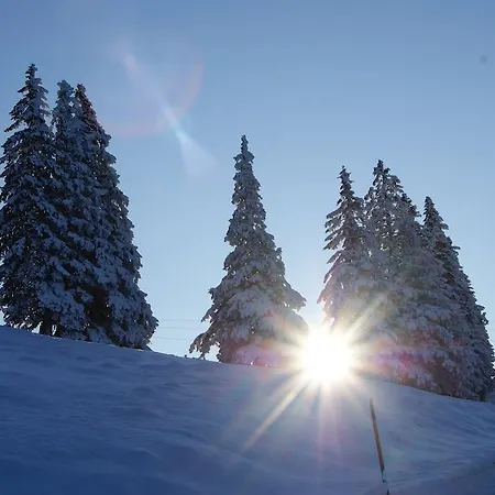 Landhotel-restaurant Willingshofer 3*