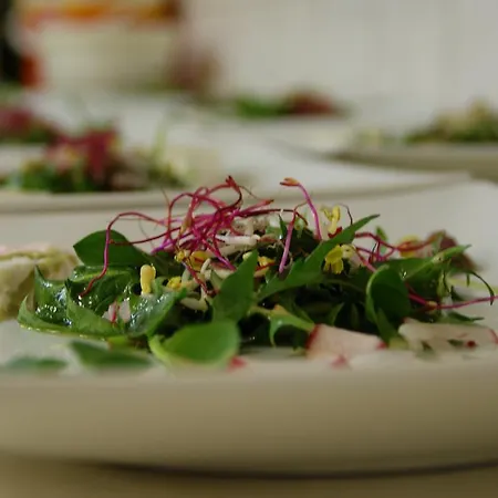 Landhotel-restaurant Willingshofer 3*