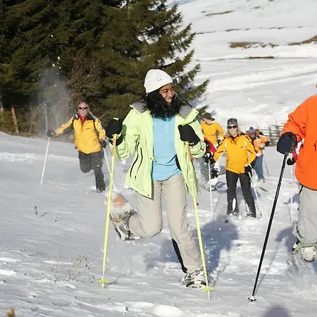维宁斯霍弗尔酒店及餐厅 3* Gasen