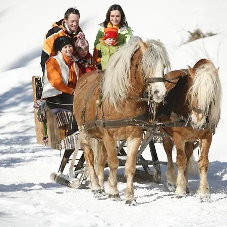 维宁斯霍弗尔酒店及餐厅 酒店