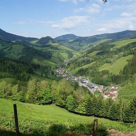 Landhotel-restaurant Willingshofer Hotell 3*