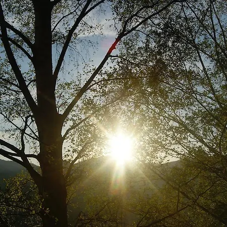 Landhotel-restaurant Willingshofer 3* Gasen