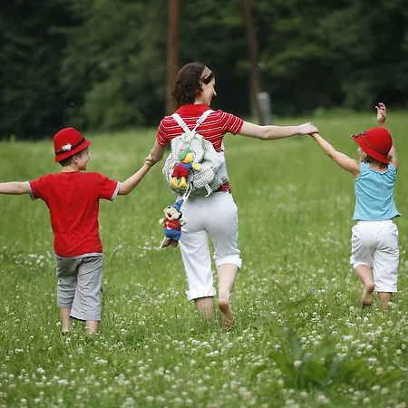 Landhotel-restaurant Willingshofer 3* Gasen