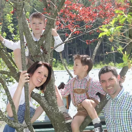 Landhotel-restaurant Willingshofer 3* Gasen