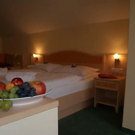 Landhotel-restaurant Willingshofer Hotell