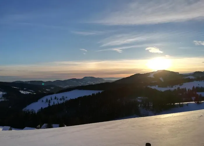 Hotel Landhotel-restaurant Willingshofer