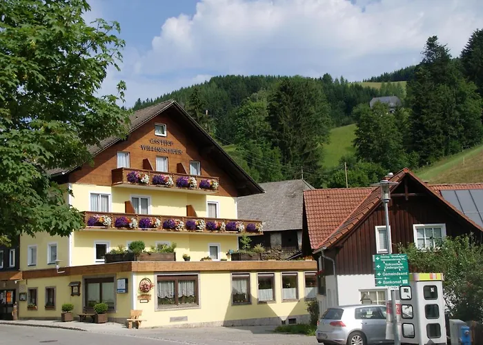 Landhotel-restaurant Willingshofer Hotel 3*