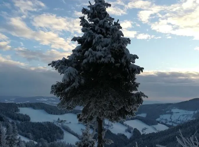 Landhotel-restaurant Willingshofer Hotel 3*