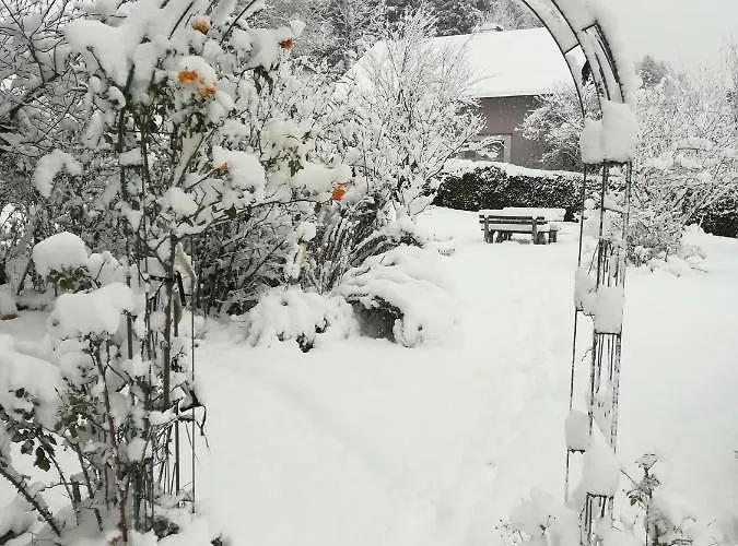 Hotel Landhotel-restaurant Willingshofer