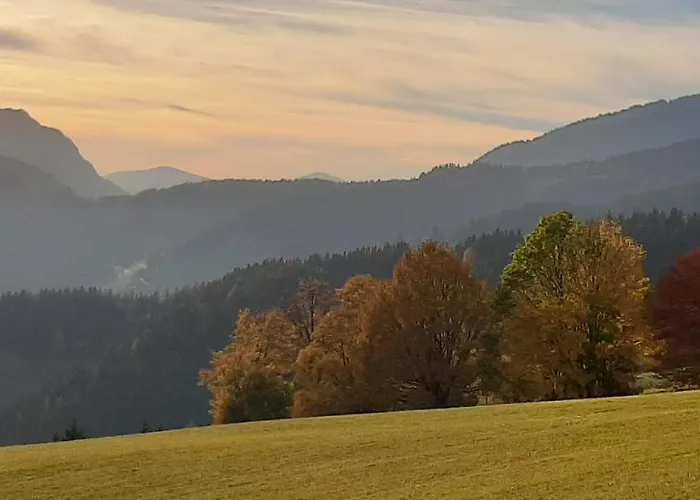 Hotel Landhotel-restaurant Willingshofer Gasen