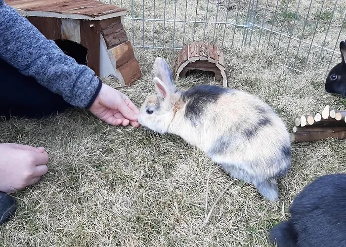 Landhotel-restaurant Willingshofer 3*