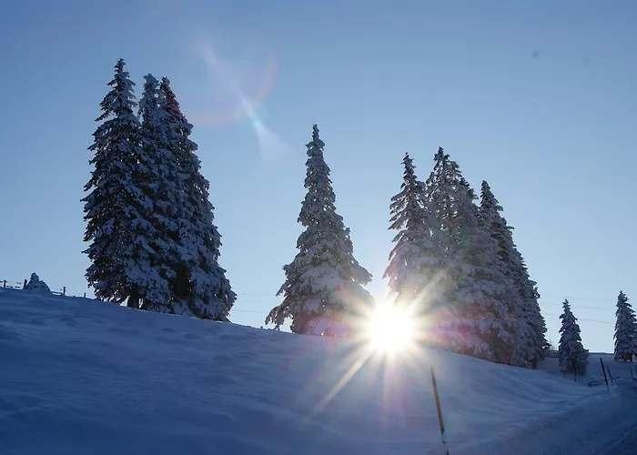 Landhotel-restaurant Willingshofer 3*