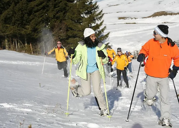 Landhotel-restaurant Willingshofer 3* Gasen