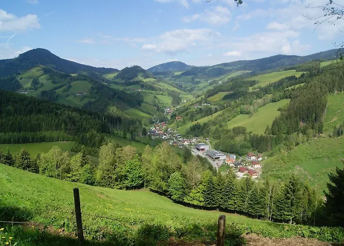 Landhotel-restaurant Willingshofer Hotel 3*