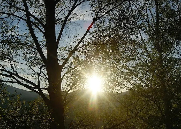 Landhotel-restaurant Willingshofer 3* Gasen