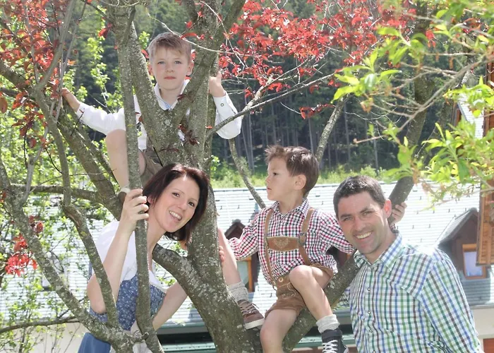 Landhotel-restaurant Willingshofer 3* Gasen